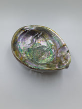 Load image into Gallery viewer, Abalone Shell