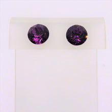 Load image into Gallery viewer, Stainless Steel Earrings
