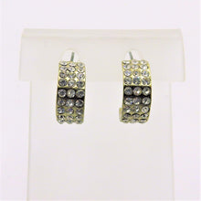 Load image into Gallery viewer, Stainless Steel Earrings