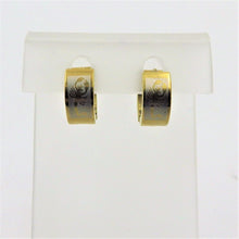 Load image into Gallery viewer, Stainless Steel Earrings
