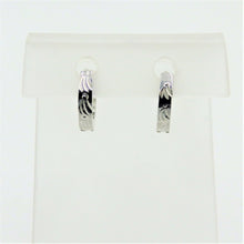 Load image into Gallery viewer, Stainless Steel Earrings