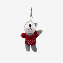 Load image into Gallery viewer, Animal Keychains