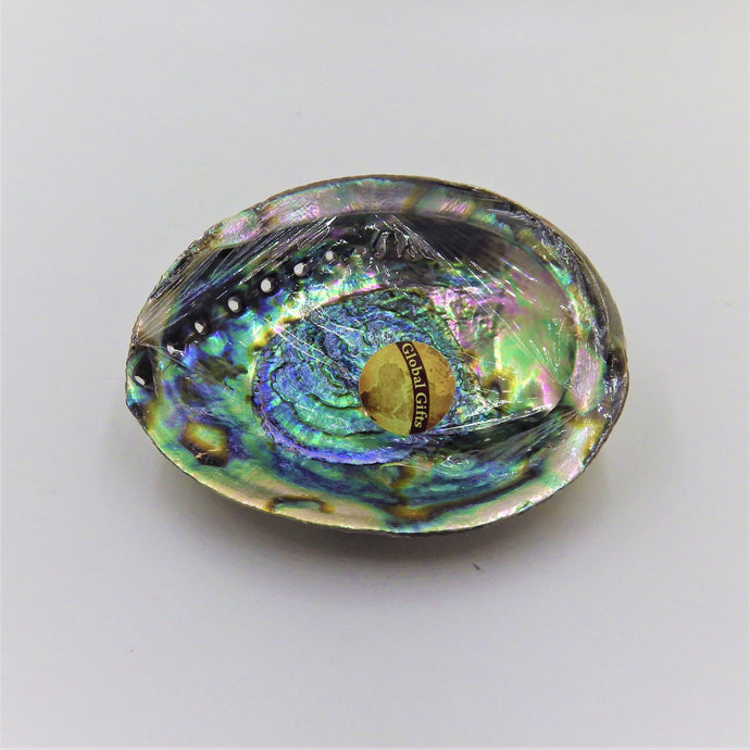 Abalone Shell