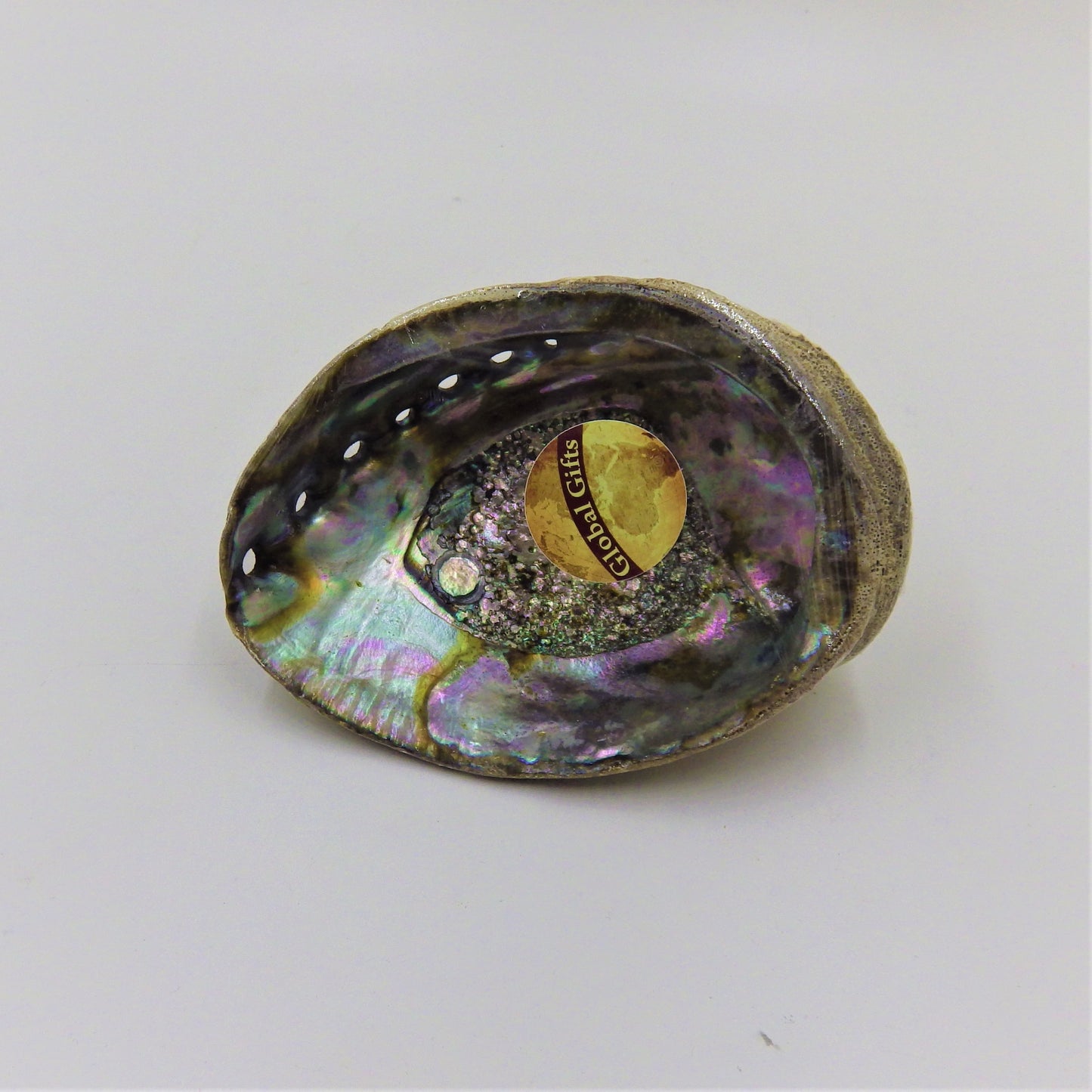 Abalone Shell