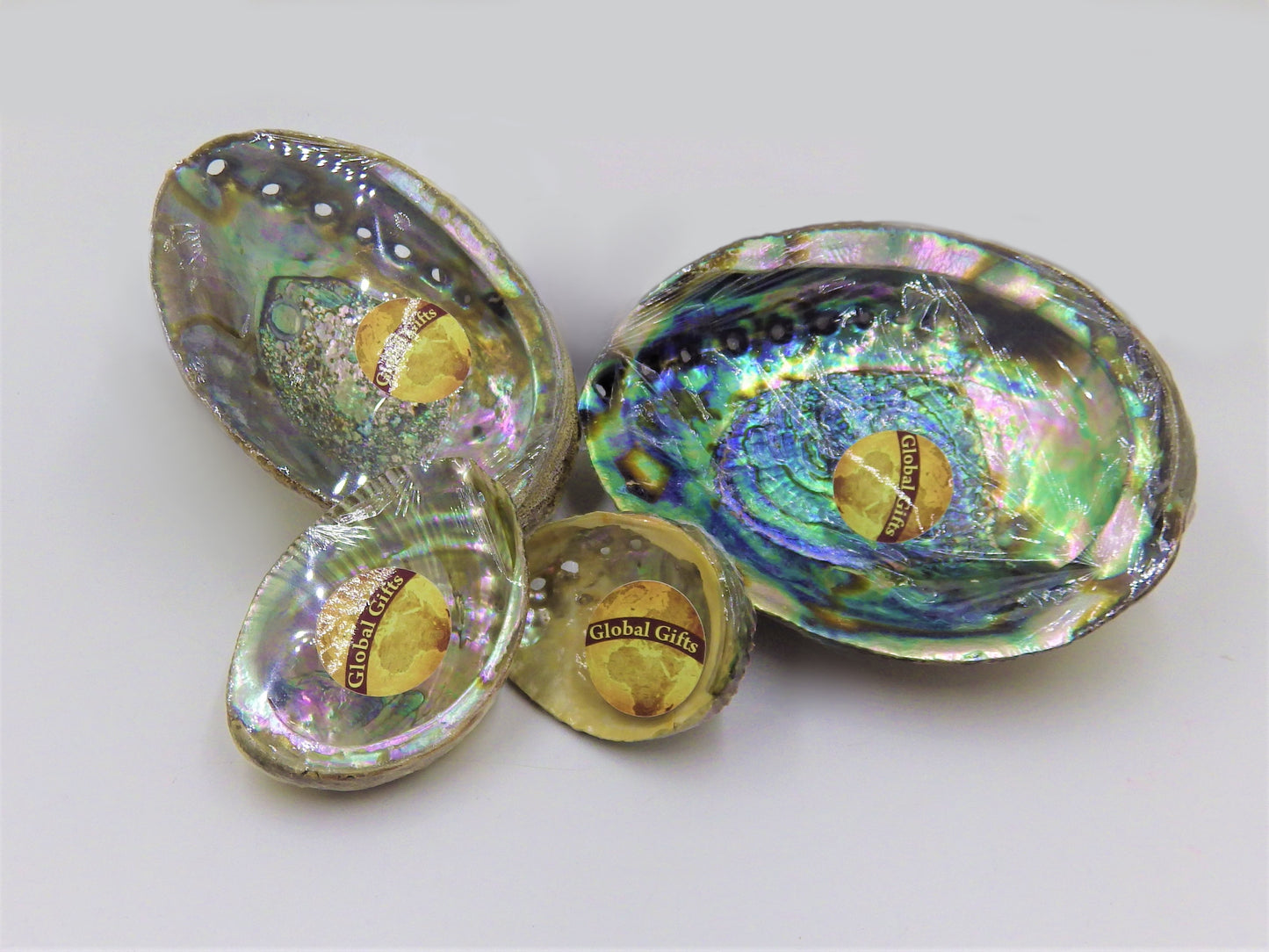 Abalone Shell