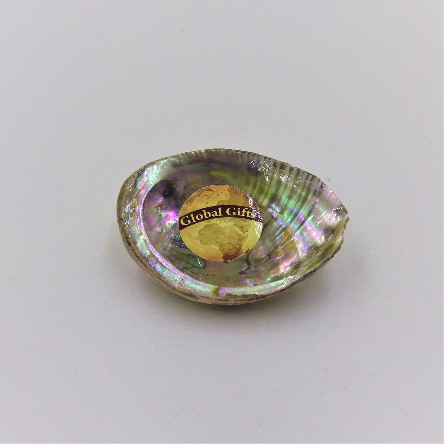 Abalone Shell