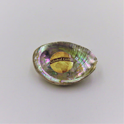 Abalone Shell