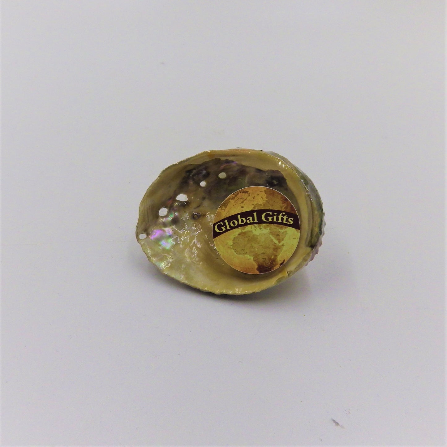 Abalone Shell