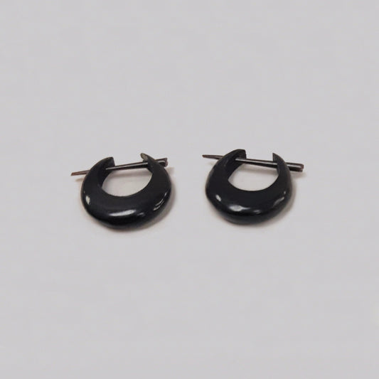 Buffalo Horn Earrings