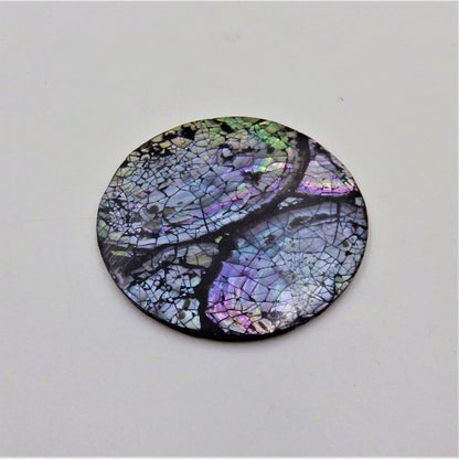 Abalone Coasters