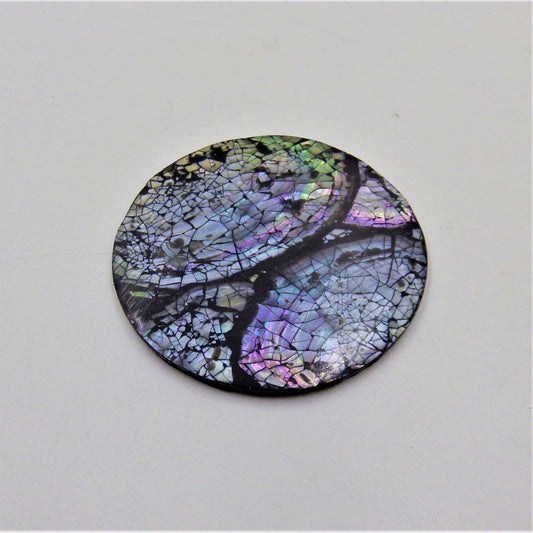 Abalone Coasters