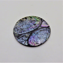 Load image into Gallery viewer, Abalone Coasters