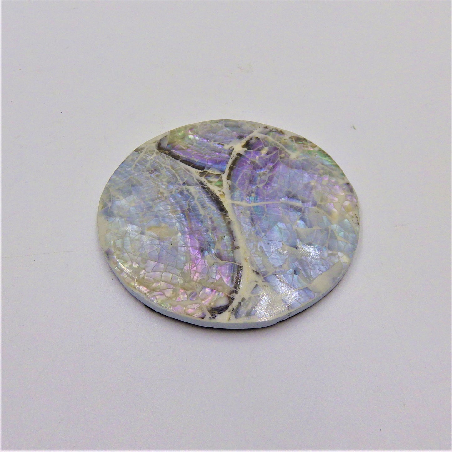 Abalone Coasters