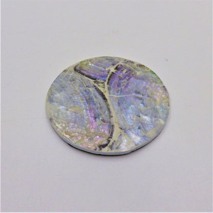 Abalone Coasters
