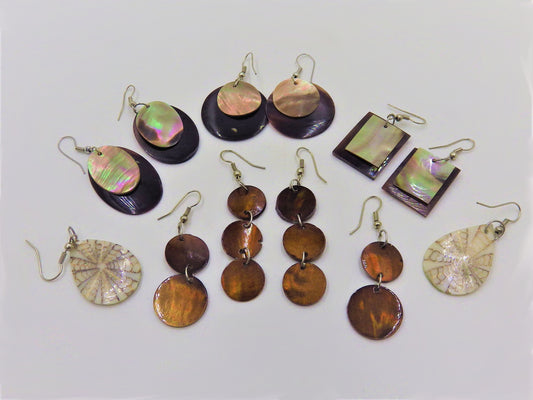 Earrings