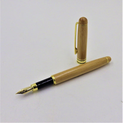Refillable Fountain Pen