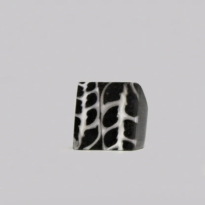 Resin & Shell Rings