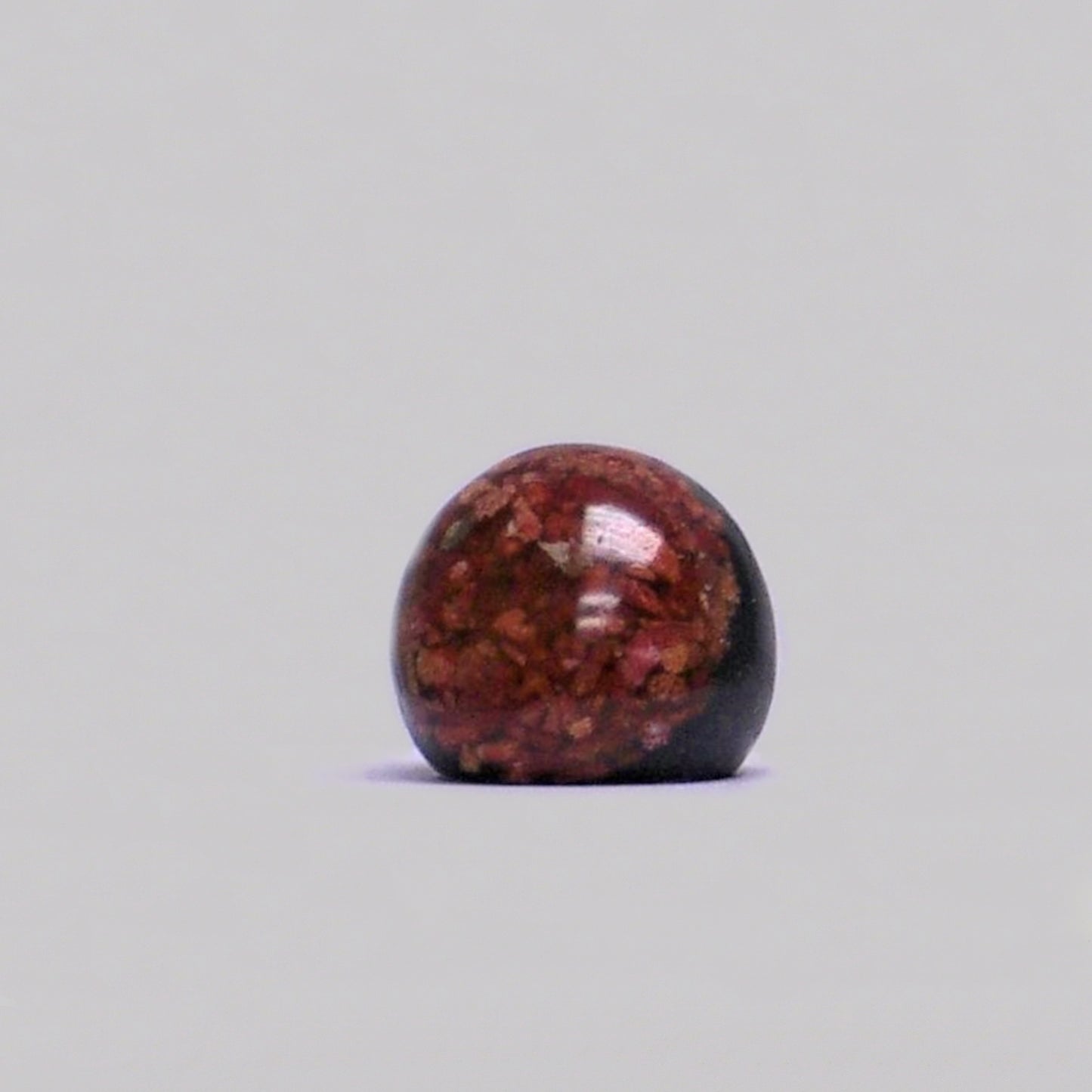 Resin & Shell Rings