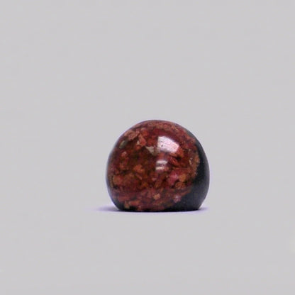Resin & Shell Rings