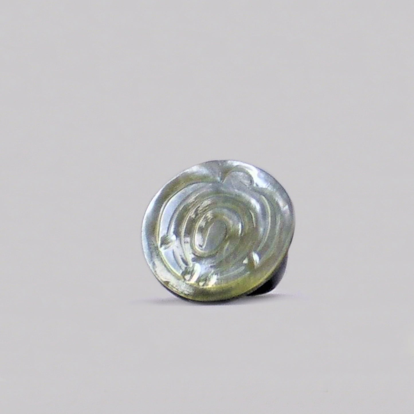 Resin & Shell Rings