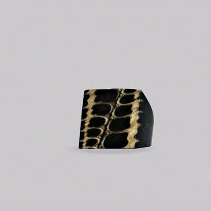 Resin & Shell Rings