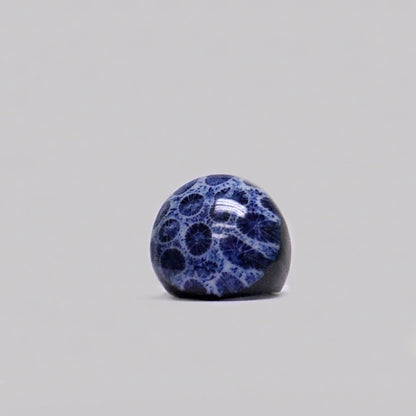 Resin & Shell Rings