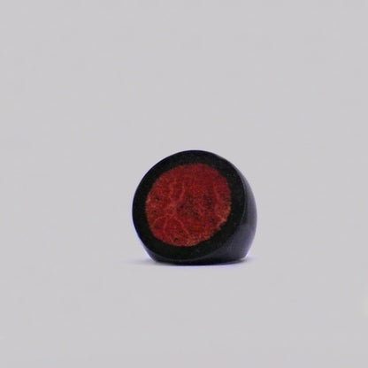 Resin & Shell Rings