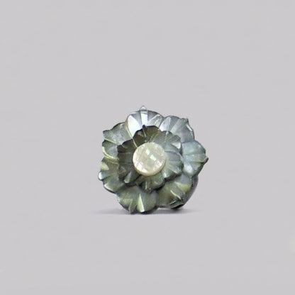 Resin & Shell Rings