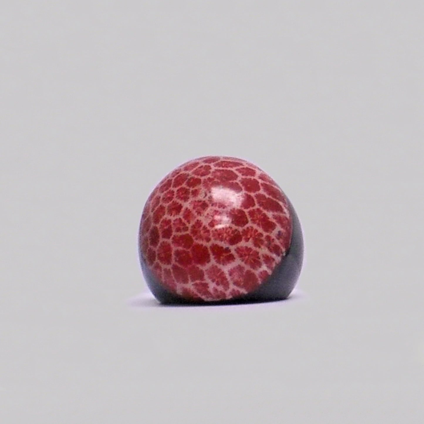 Resin & Shell Rings