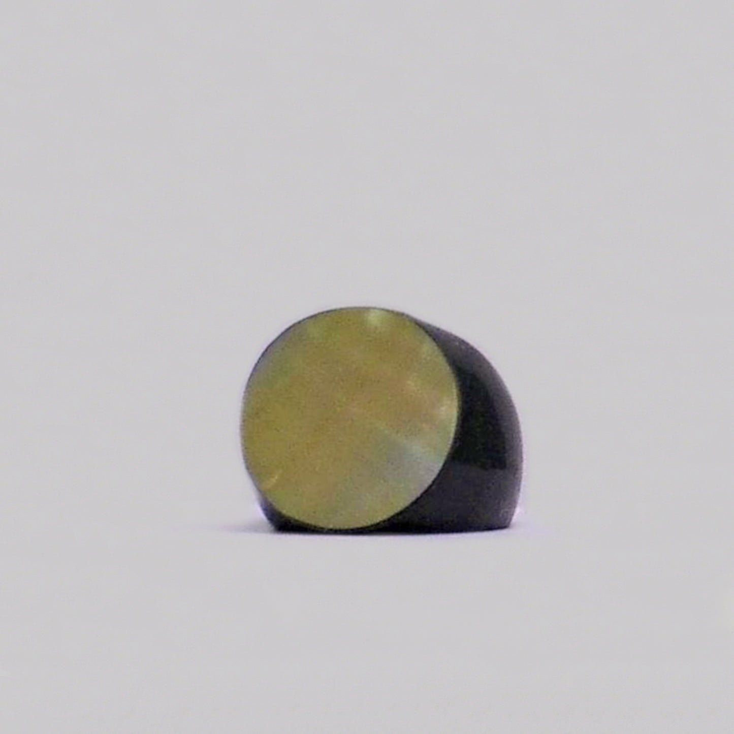 Resin & Shell Rings