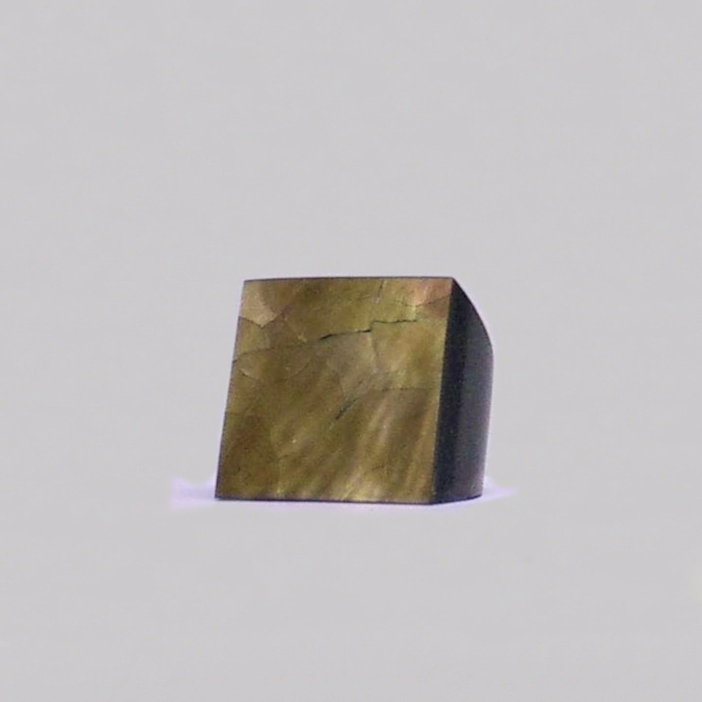 Resin & Shell Rings