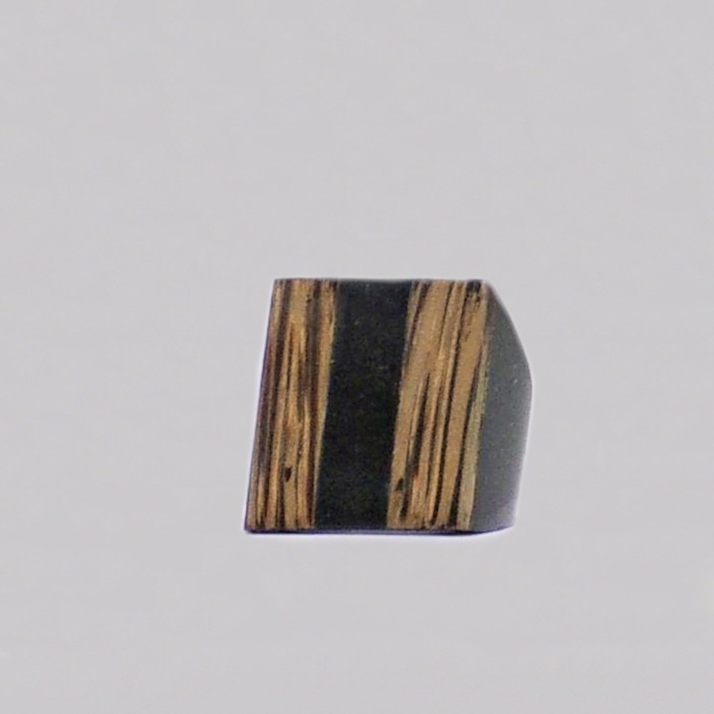Resin & Shell Rings