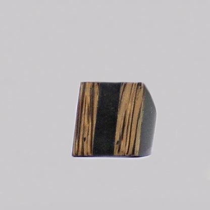 Resin & Shell Rings