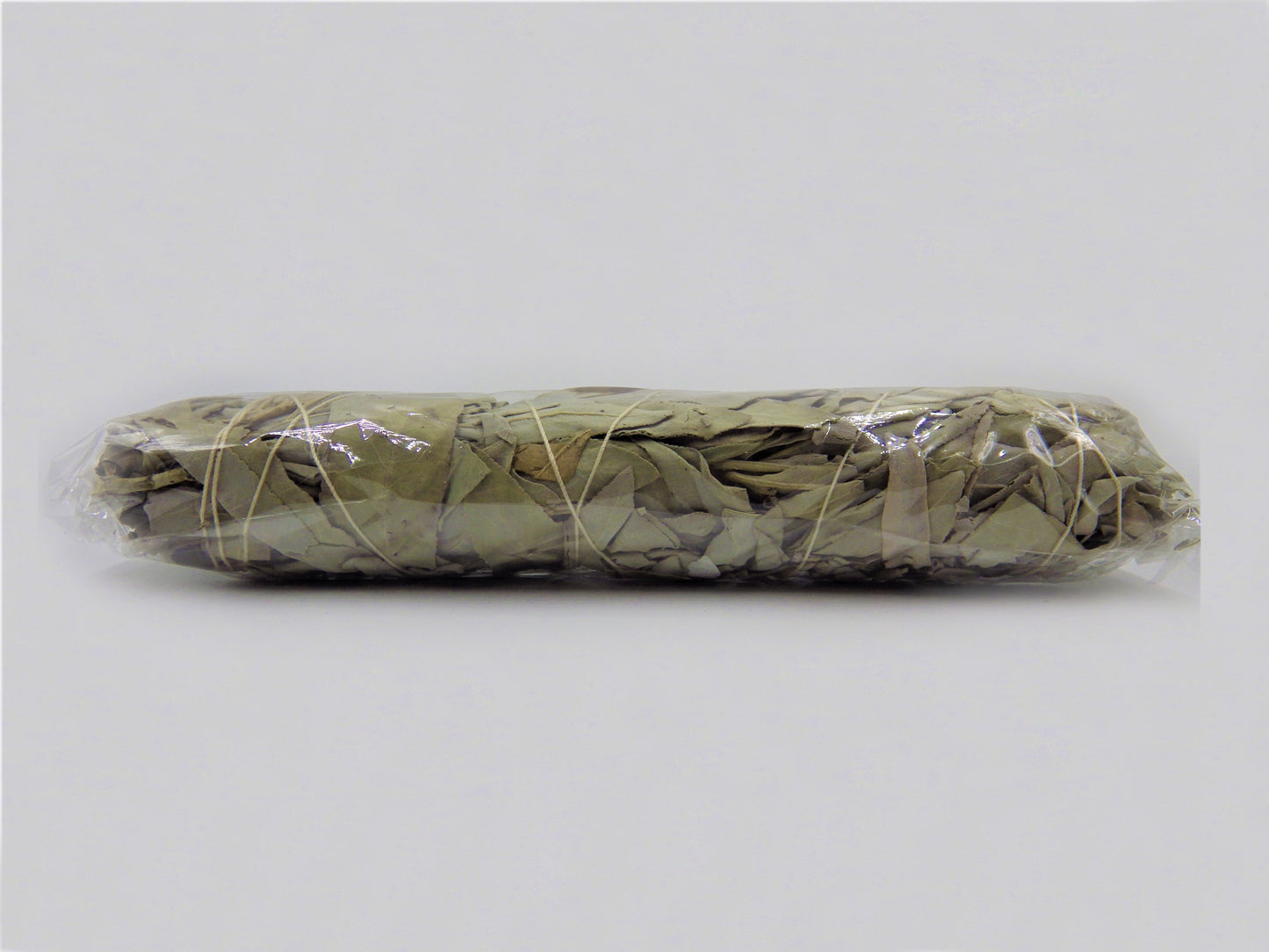 Sage 6"