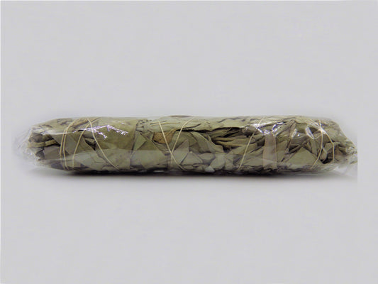 Sage 6"
