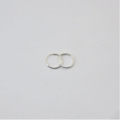 Small  silver Loop Earrings