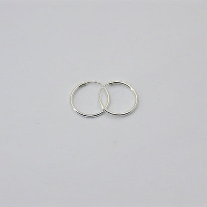 Small  silver Loop Earrings