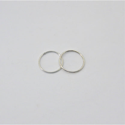 Small  silver Loop Earrings