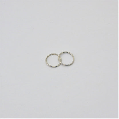 Small  silver Loop Earrings
