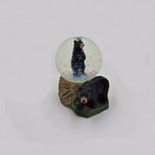 Load image into Gallery viewer, Snow Globes