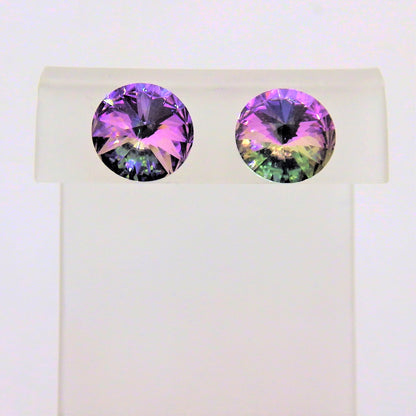 Stainless Steel Earrings