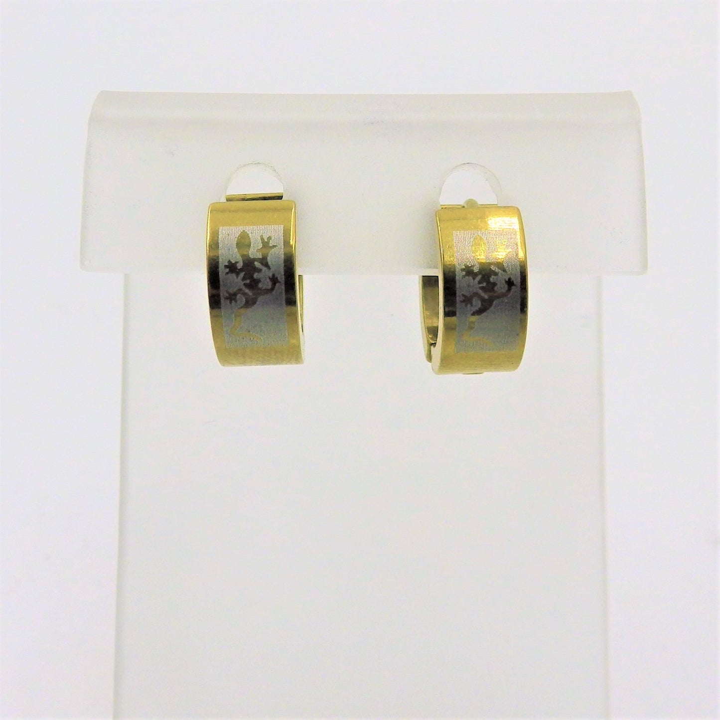 Stainless Steel Earrings