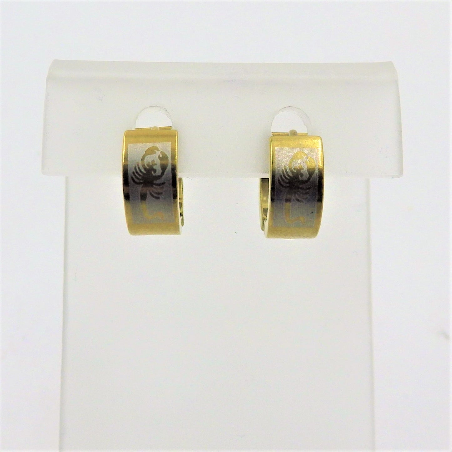 Stainless Steel Earrings