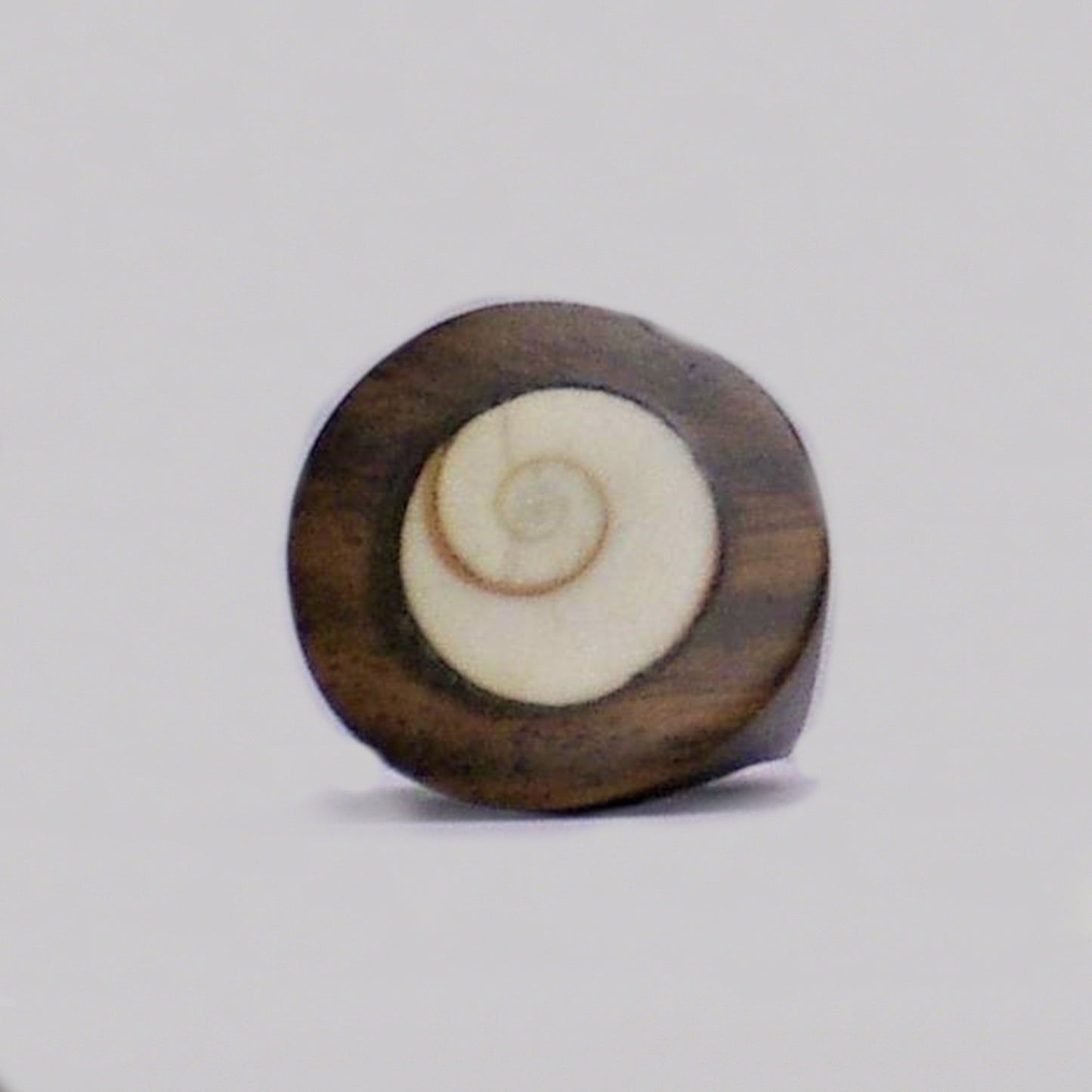 Wood rings